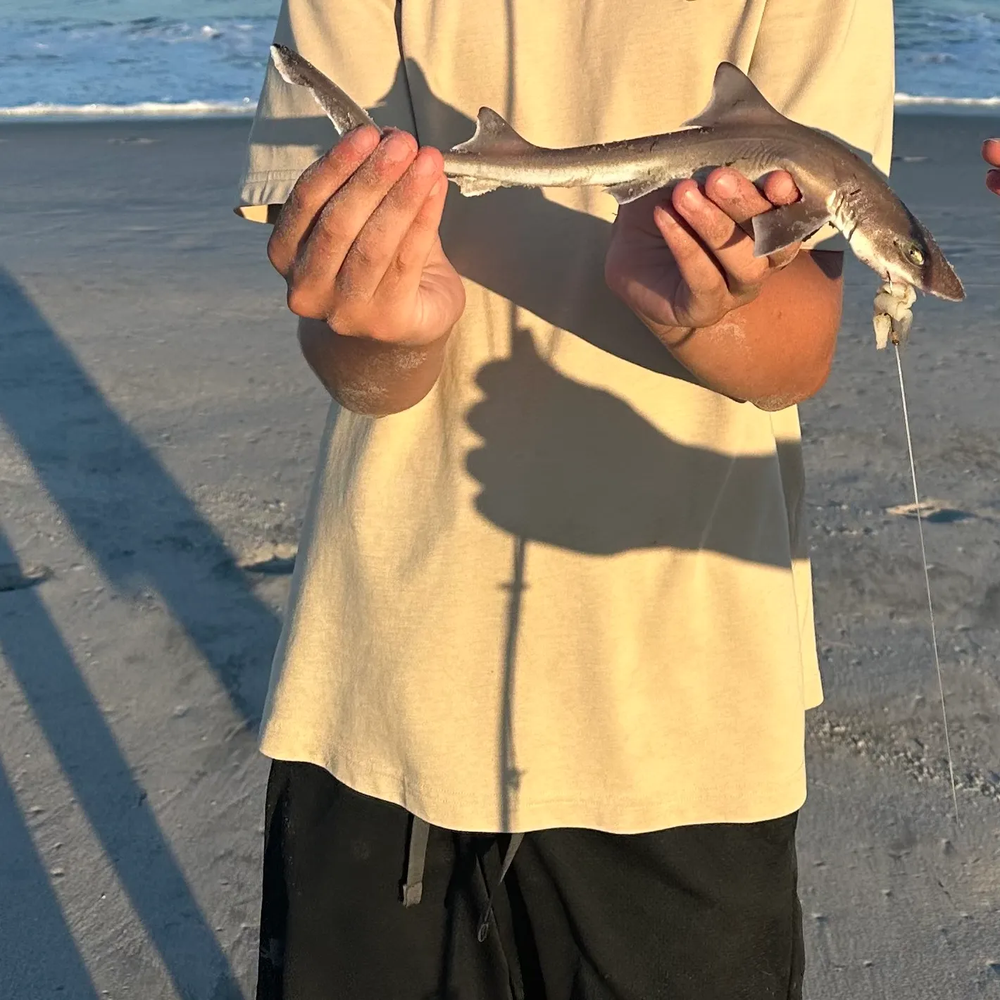 Dusky smooth-hound caught on Fishbrain