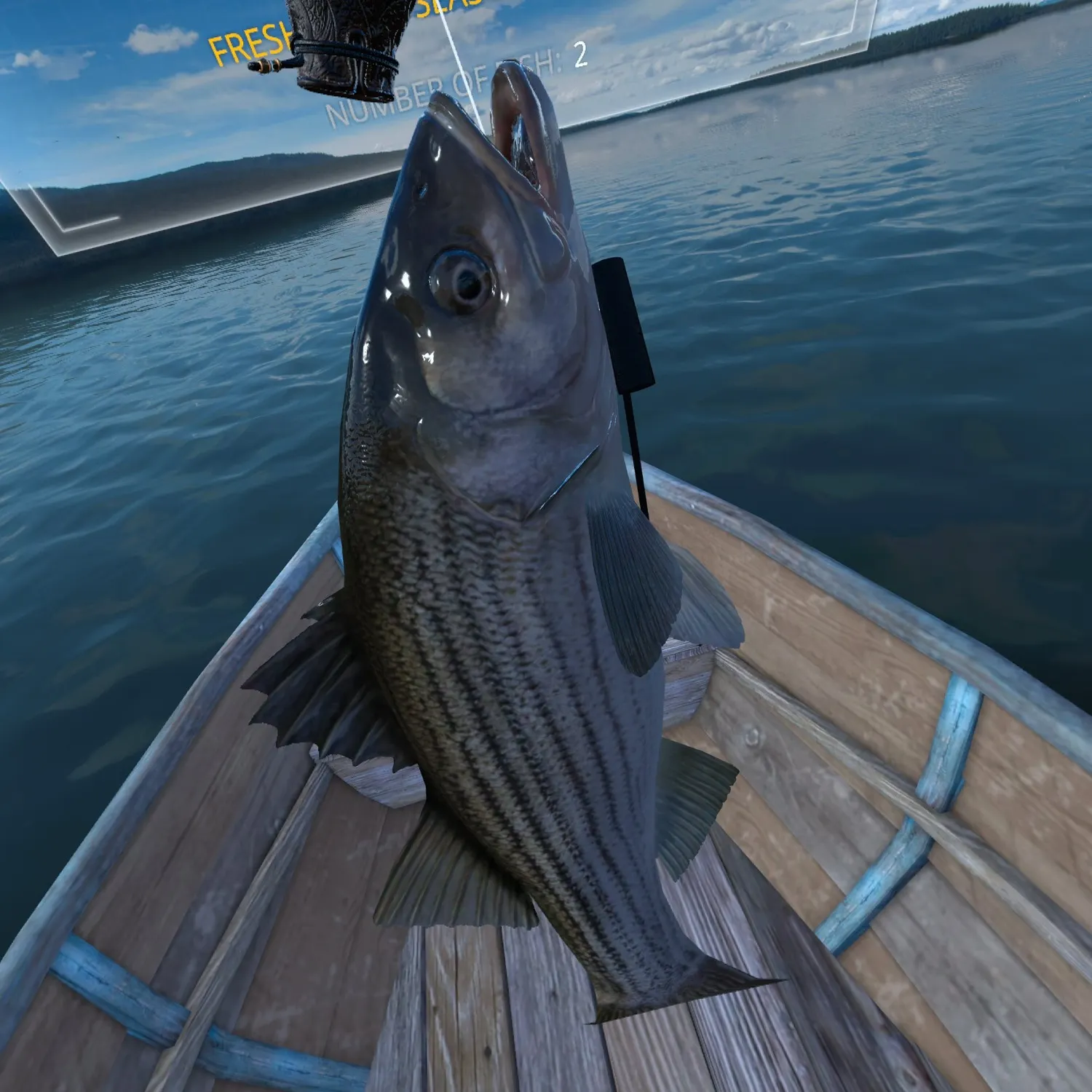 The most recent Striped bass catches on Fishbrain