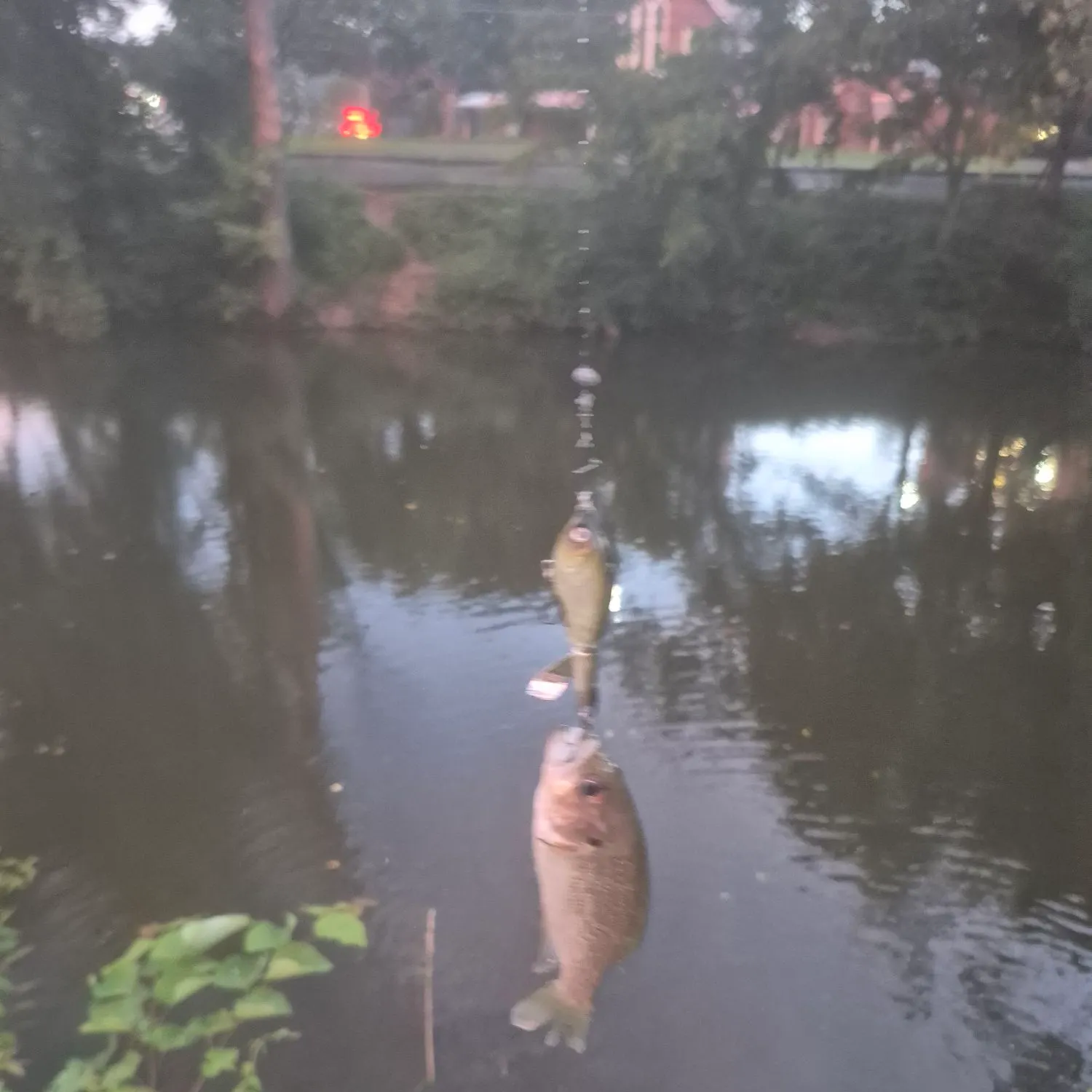 catch