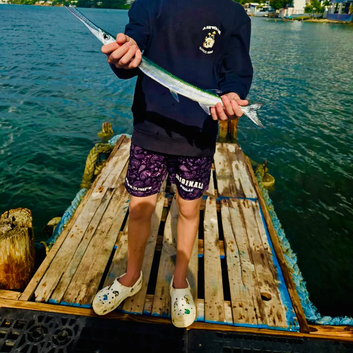 The most recent Hound needlefish catches on Fishbrain