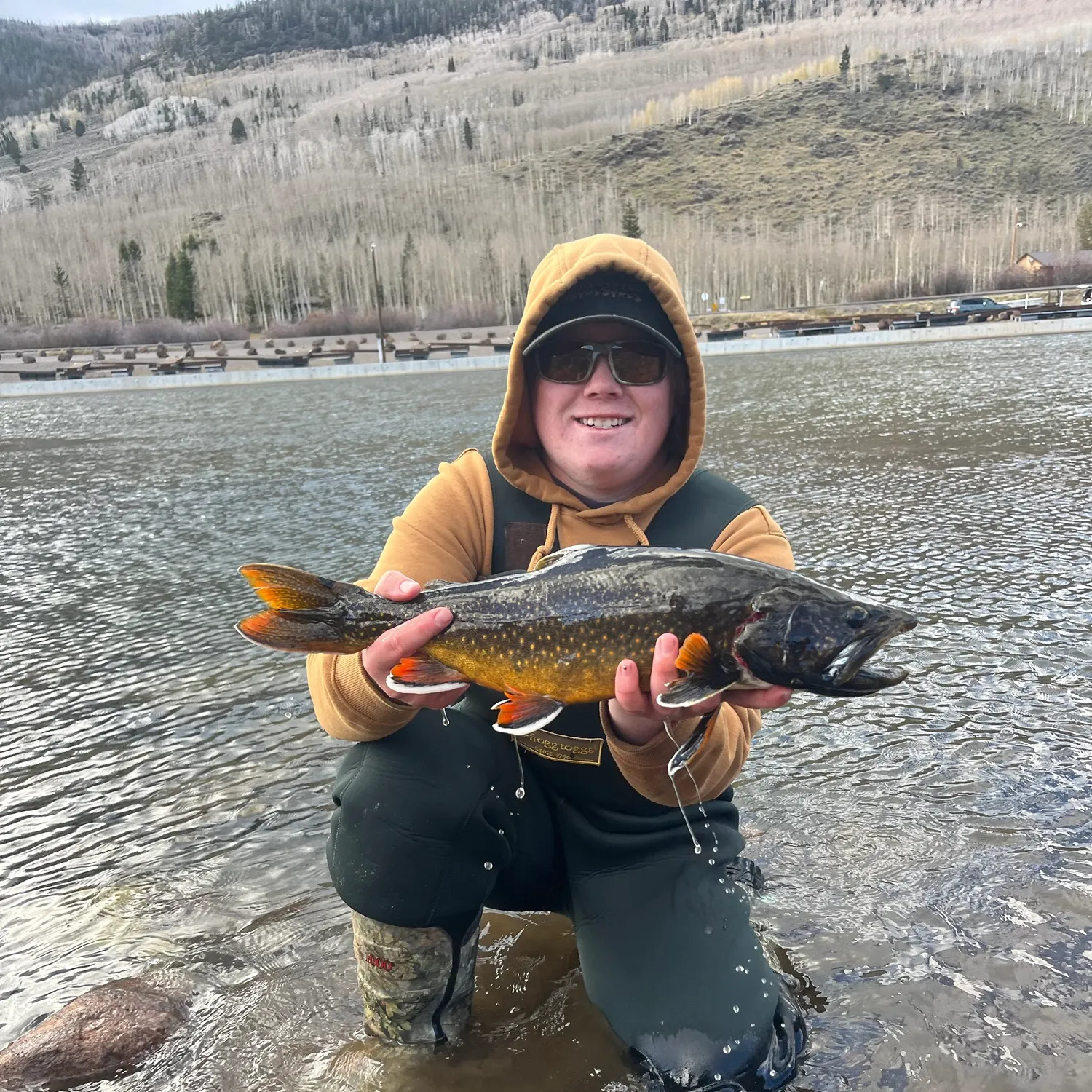 The most recent Splake catches on Fishbrain