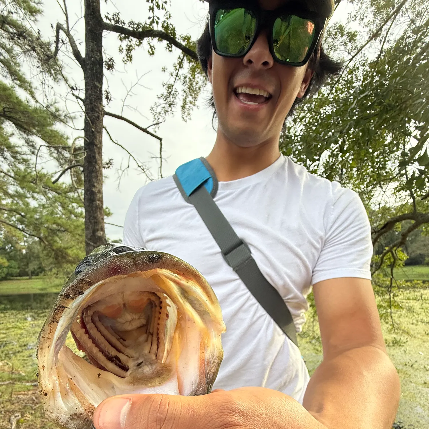 Fish caught on Fishbrain
