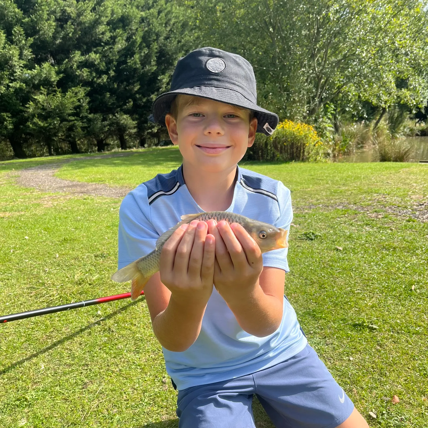 Common carp caught on Fishbrain