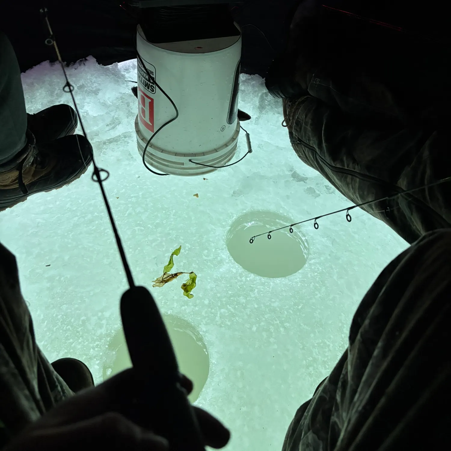 The most recent Yellow perch catches on Fishbrain