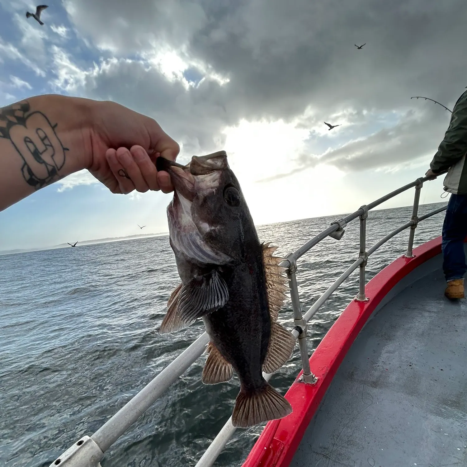 catch