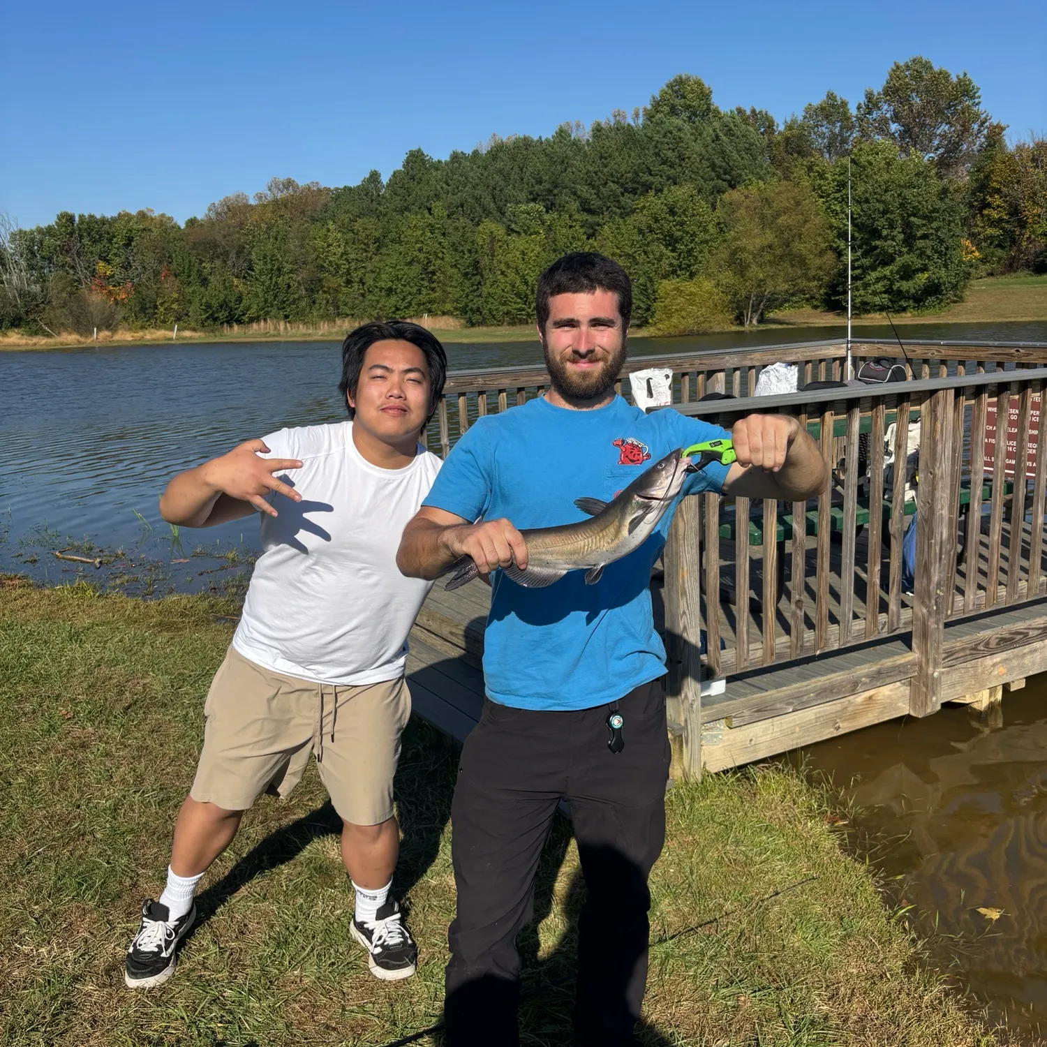 Channel catfish caught on Fishbrain