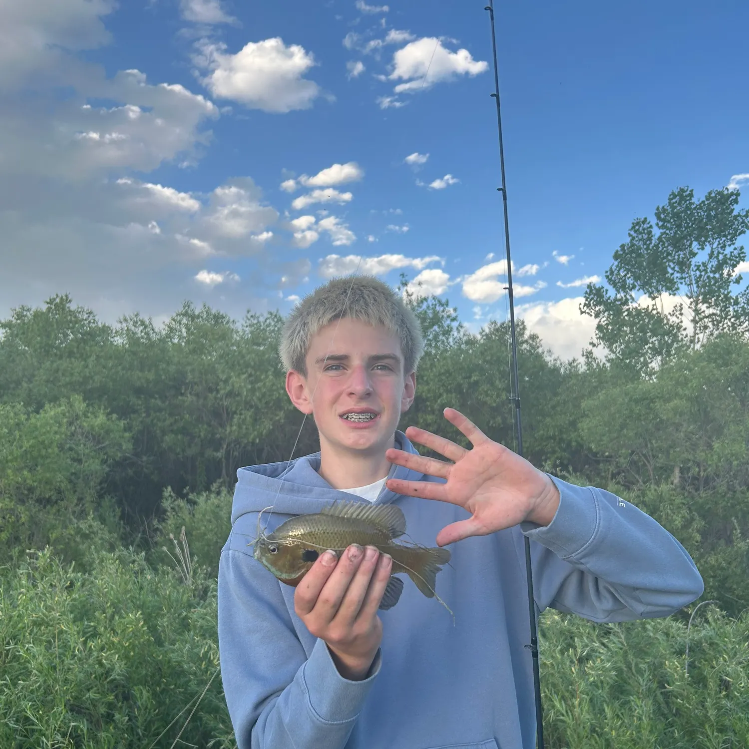 Bluegill caught on Fishbrain