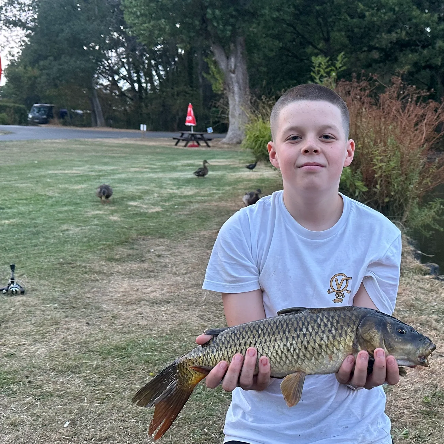 Common carp caught on Fishbrain