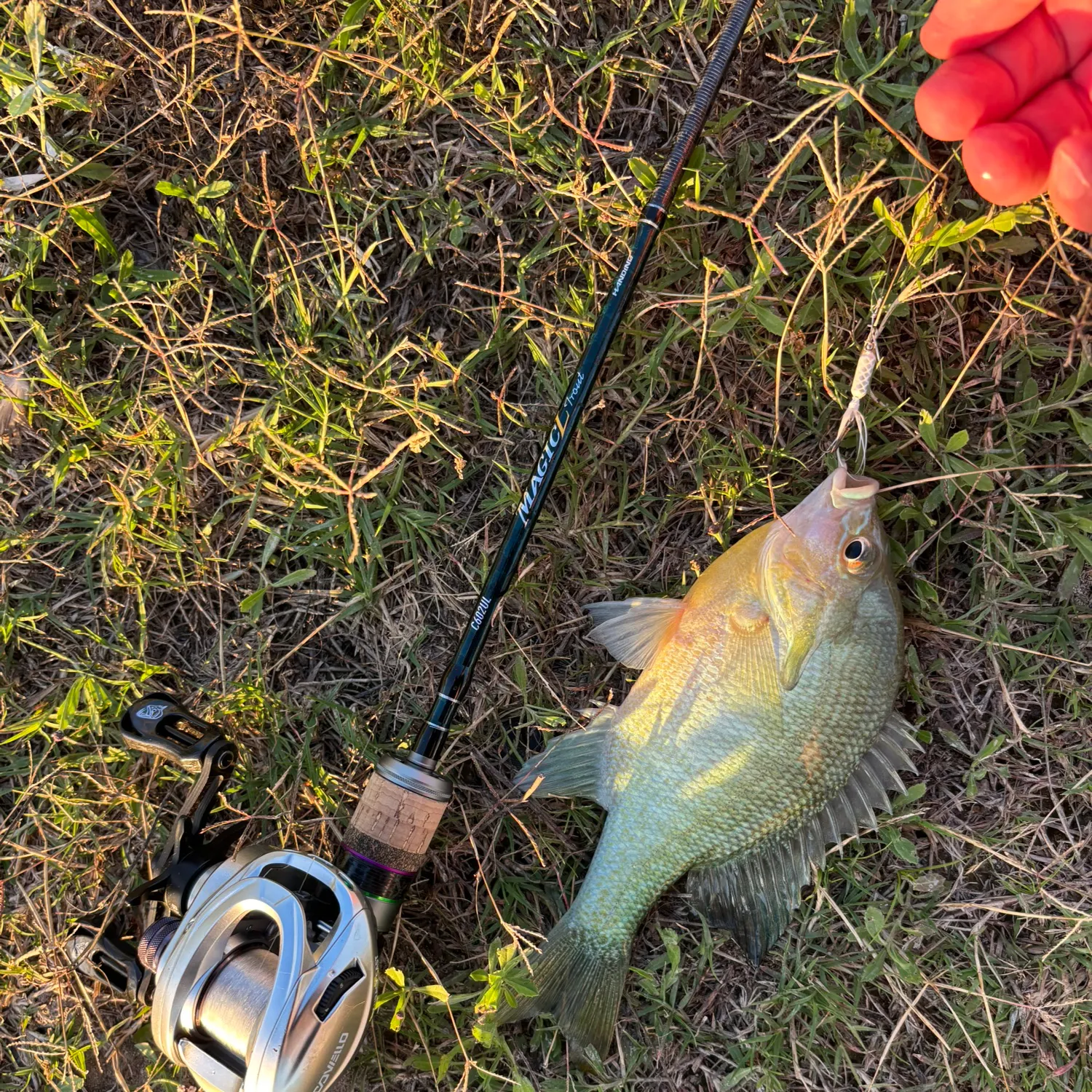 catch
