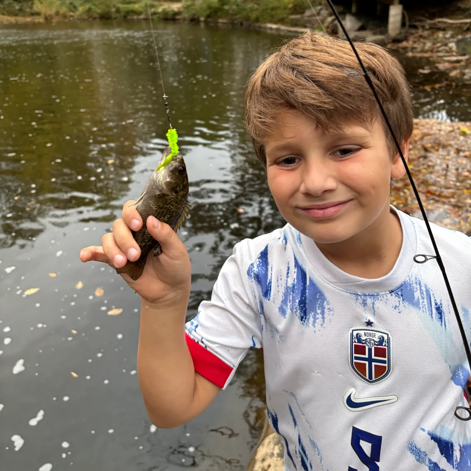 Rock bass caught on Fishbrain