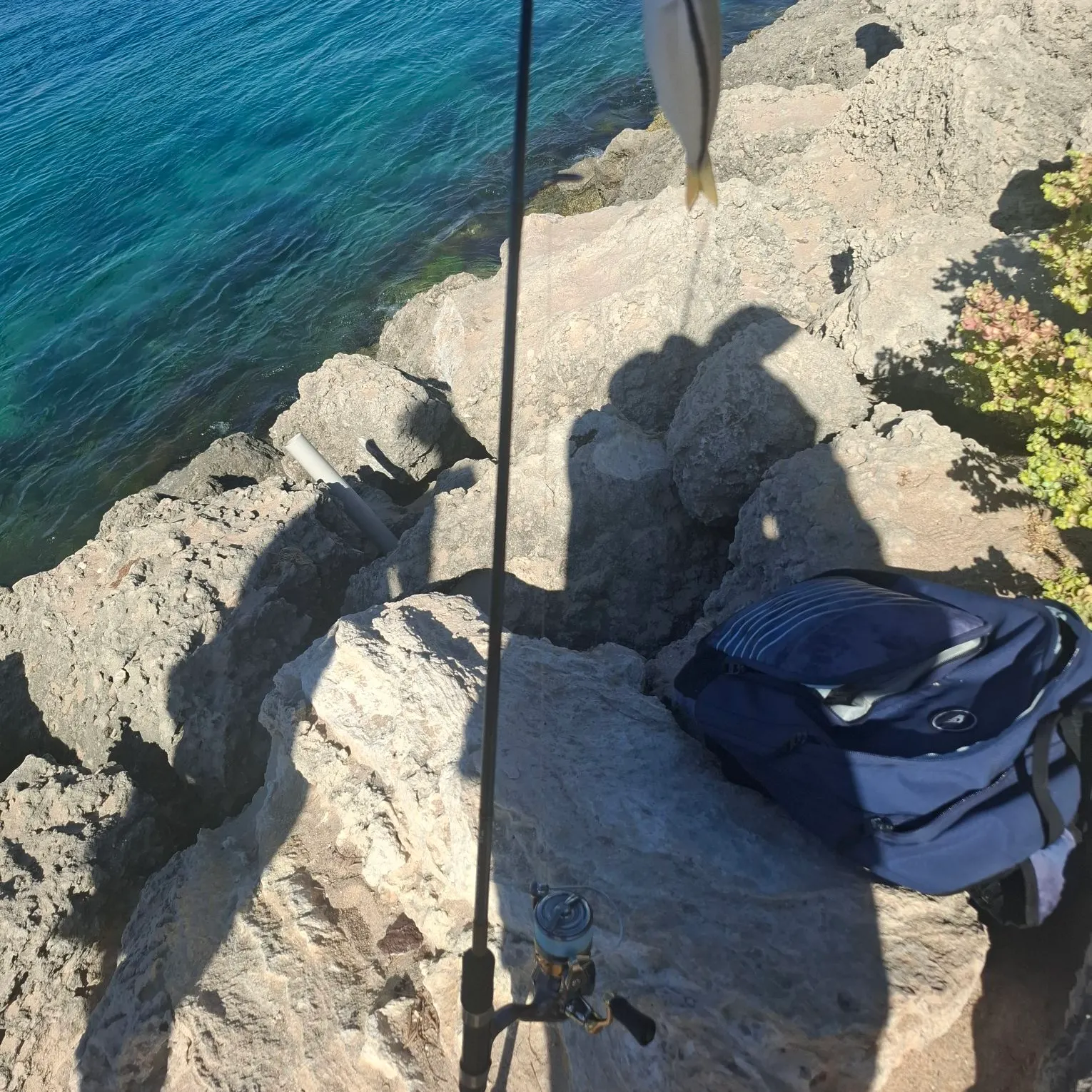 The most recent Eastern striped grunter catches on Fishbrain