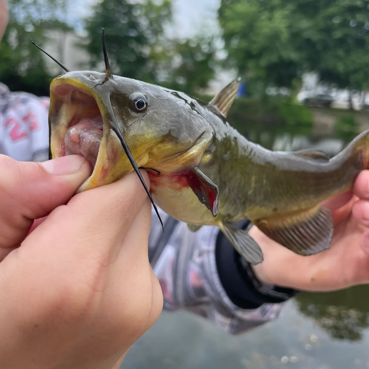 catch