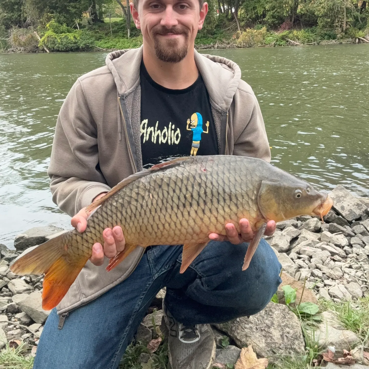 Common carp caught on Fishbrain