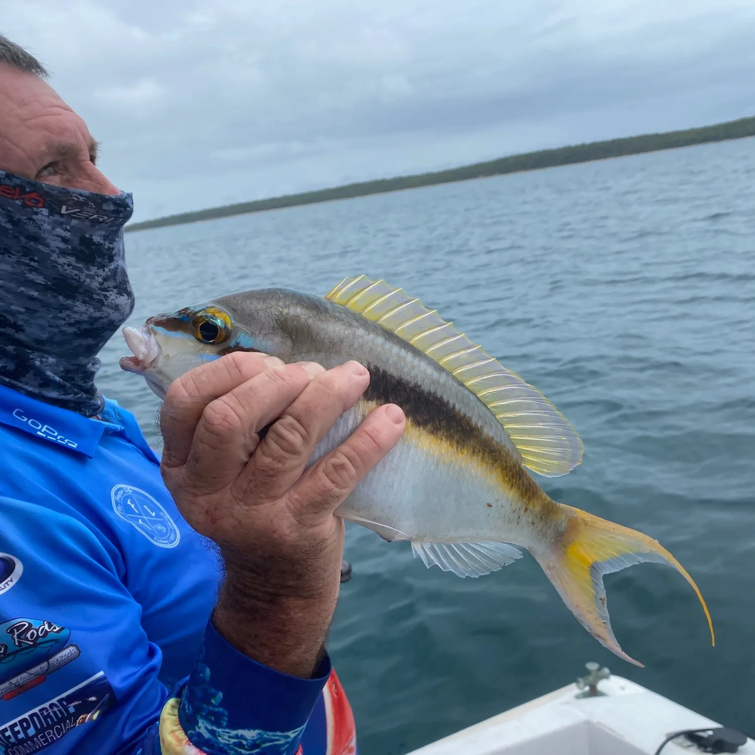 The most recent Monogrammed monocle bream catches on Fishbrain