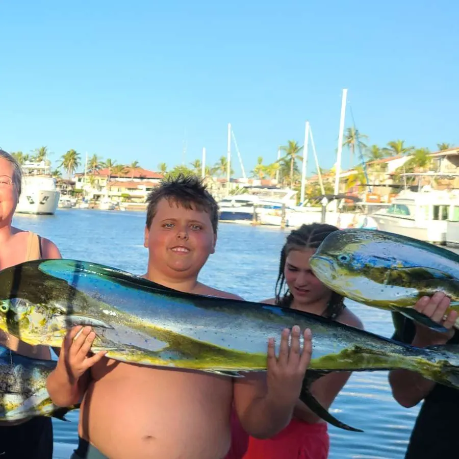 The most recent Common dolphinfish catches on Fishbrain