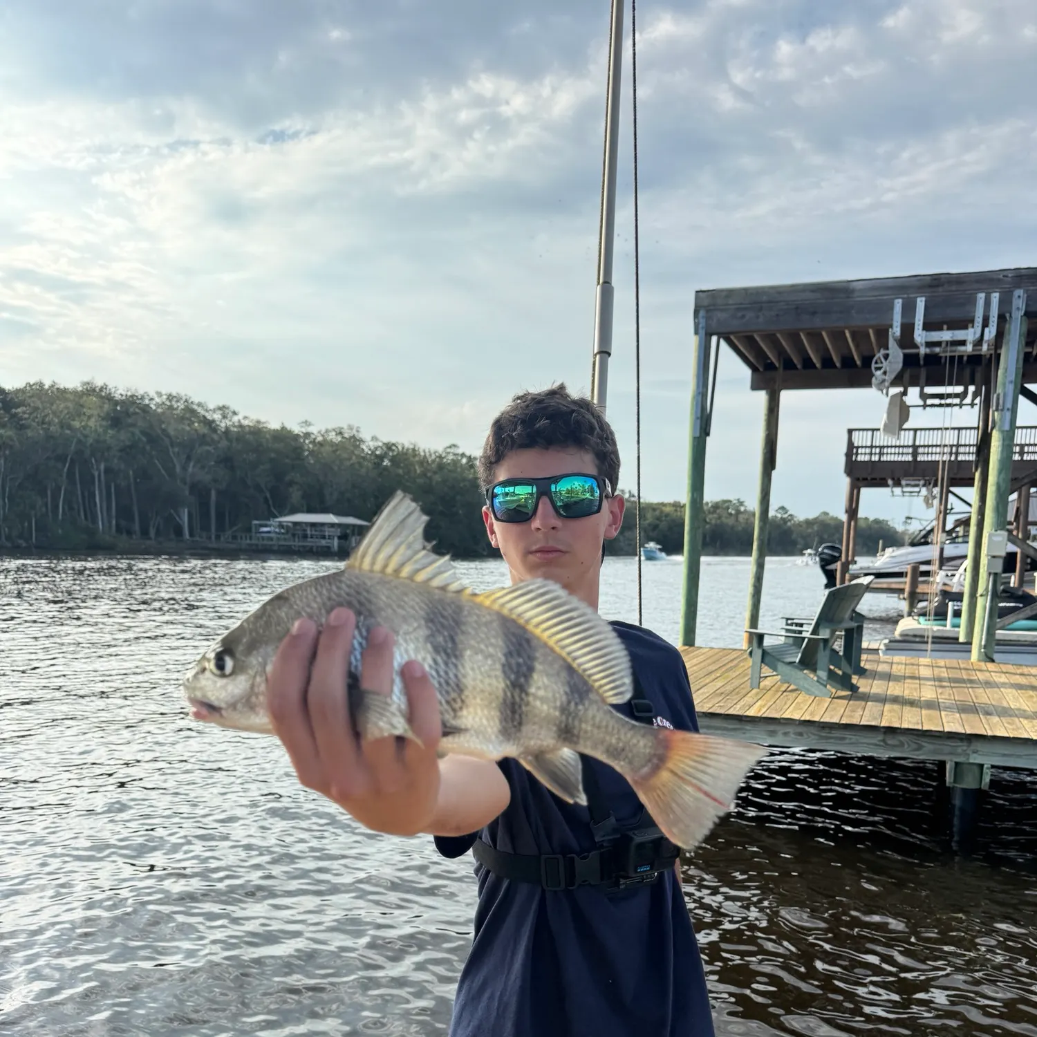 The most recent Black drum catches on Fishbrain