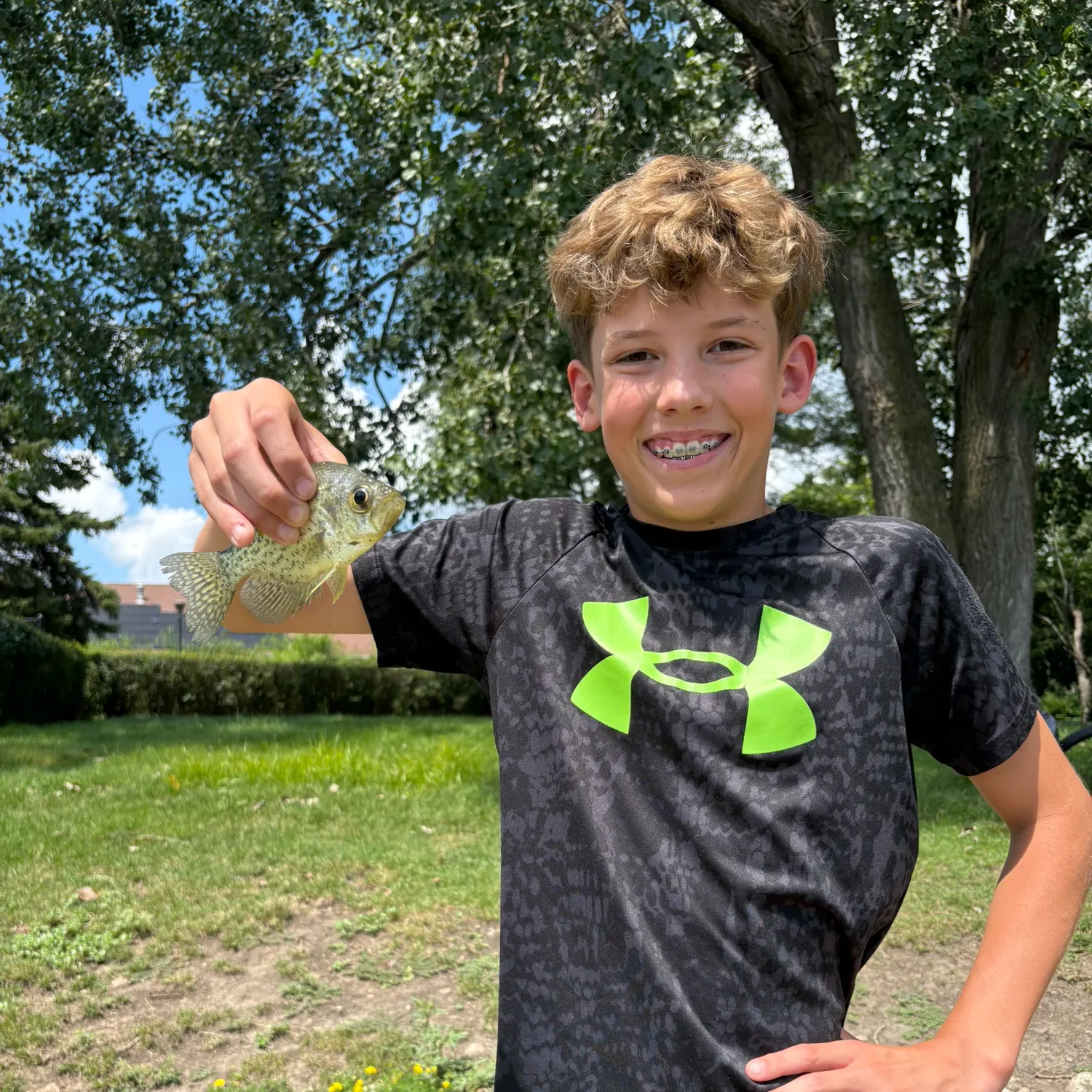 Black crappie caught on Fishbrain