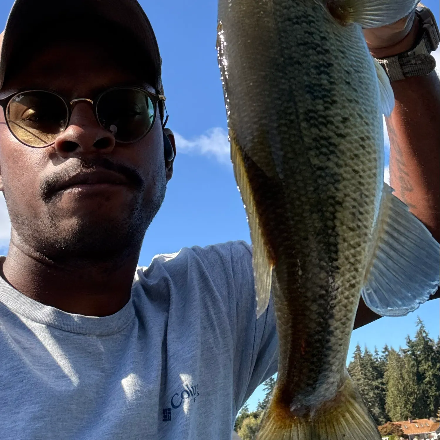 Largemouth bass caught on Fishbrain