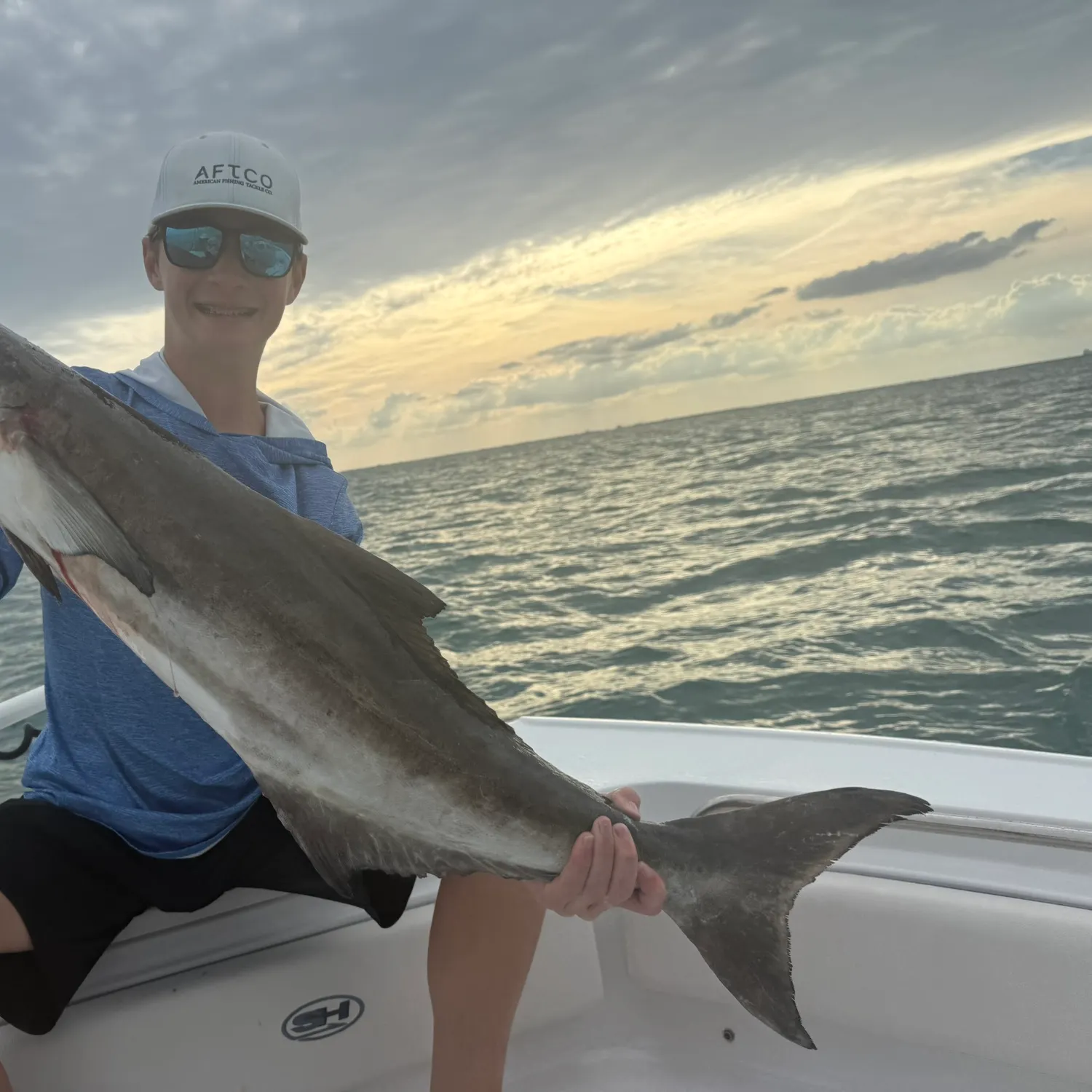 The most recent Cobia catches on Fishbrain