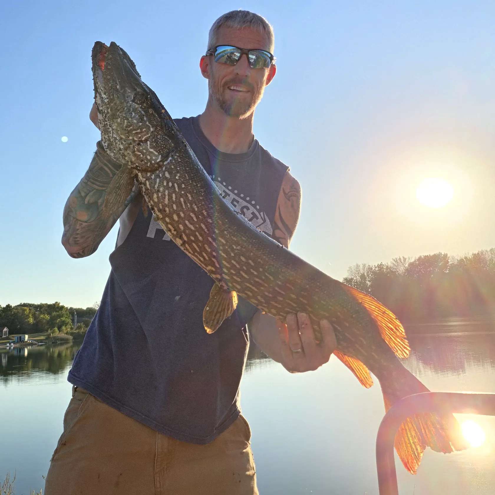 Northern pike caught on Fishbrain