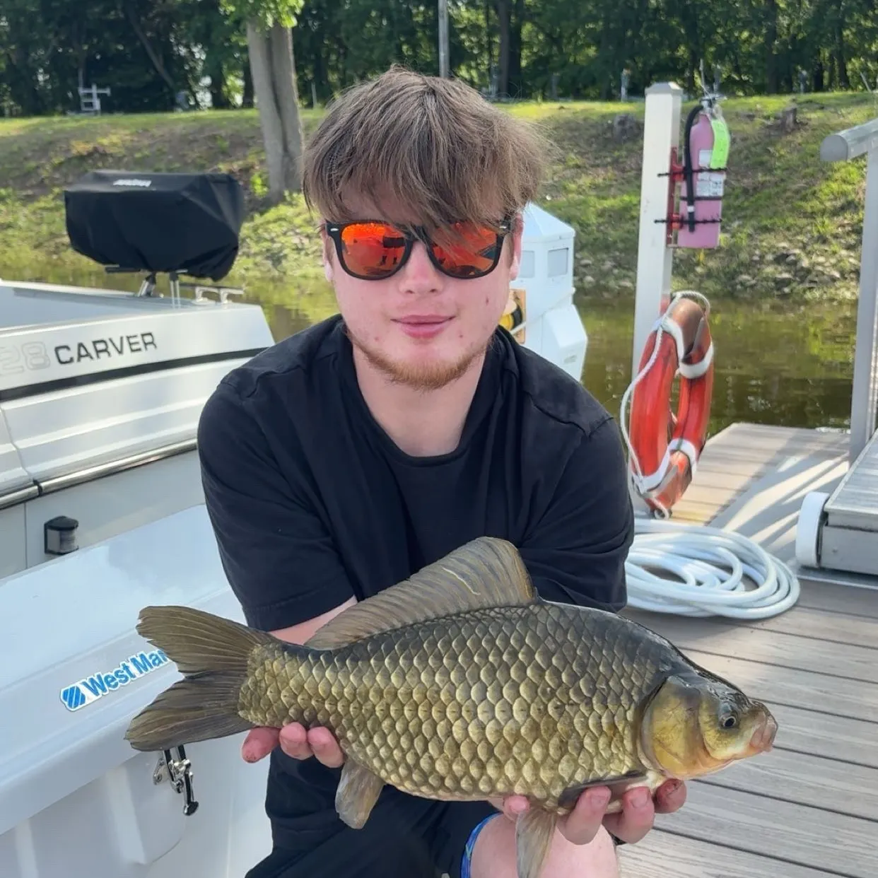 The most recent F1 carp catches on Fishbrain