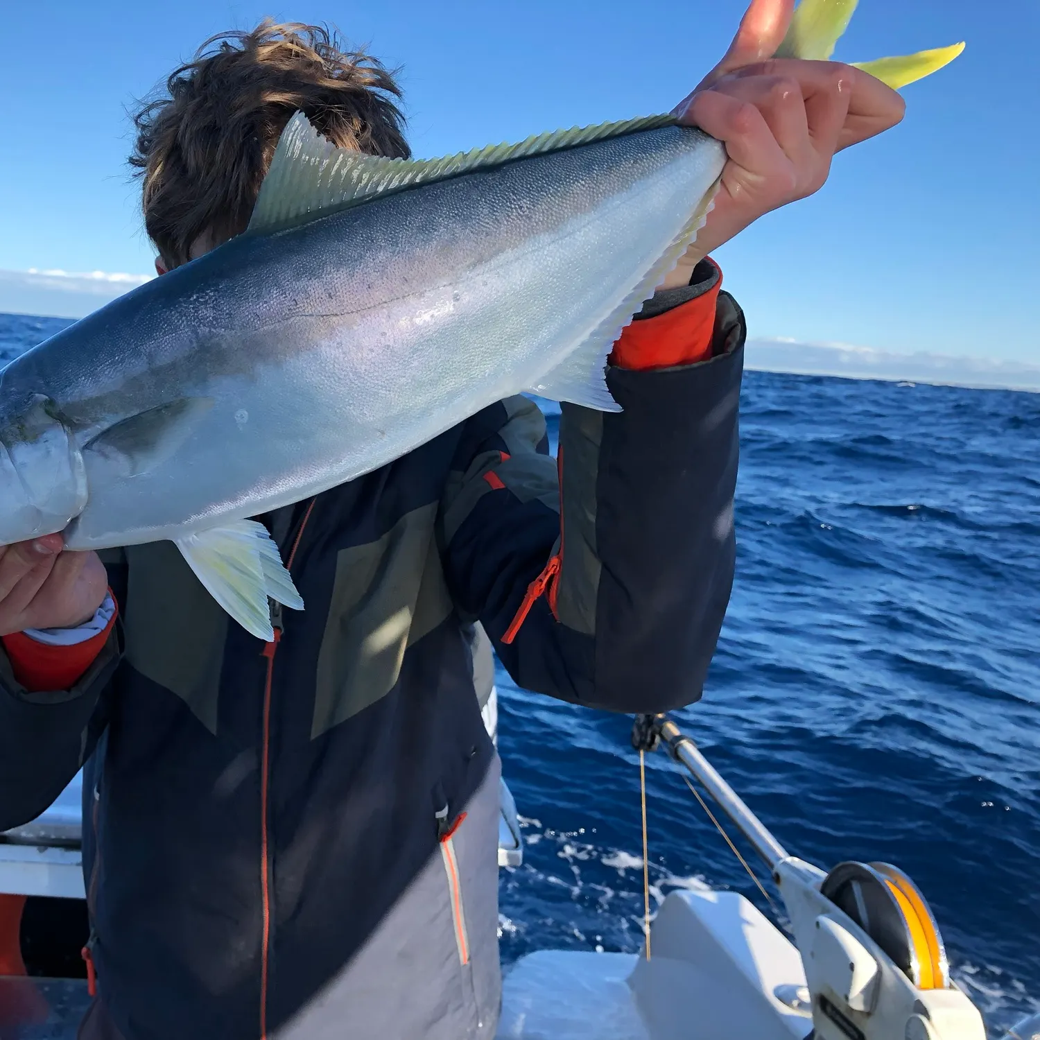 The most recent Southern yellowtail amberjack catches on Fishbrain