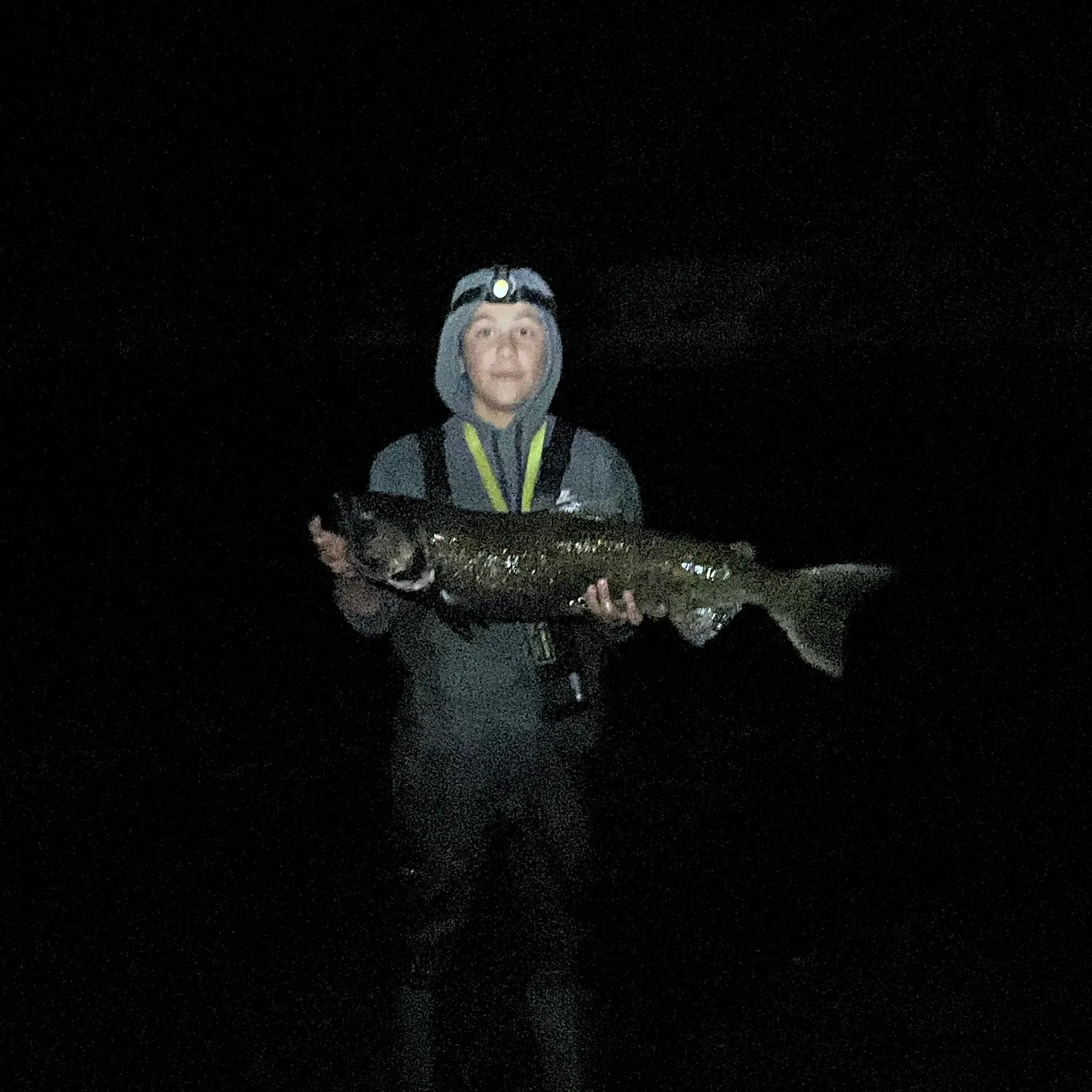 Fish caught on Fishbrain