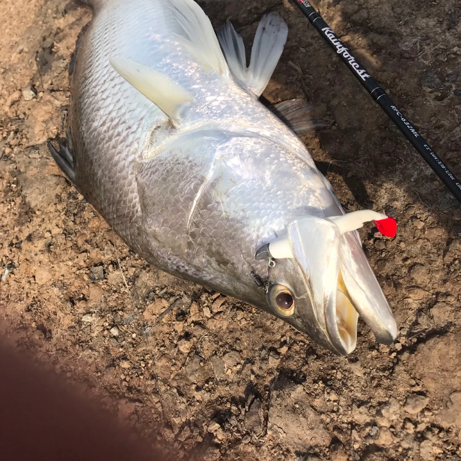 angler catch