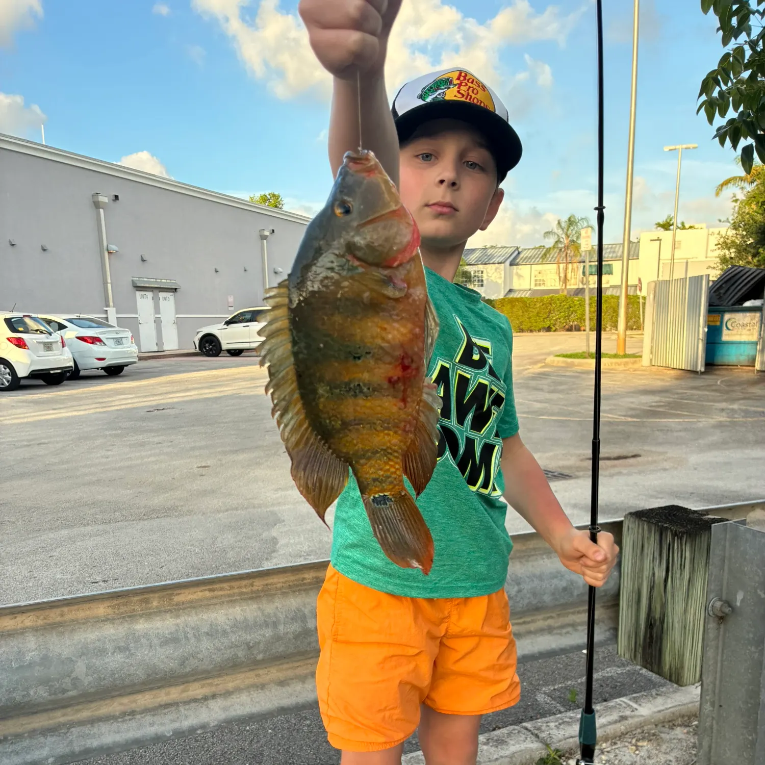 The most recent Mayan cichlid catches on Fishbrain