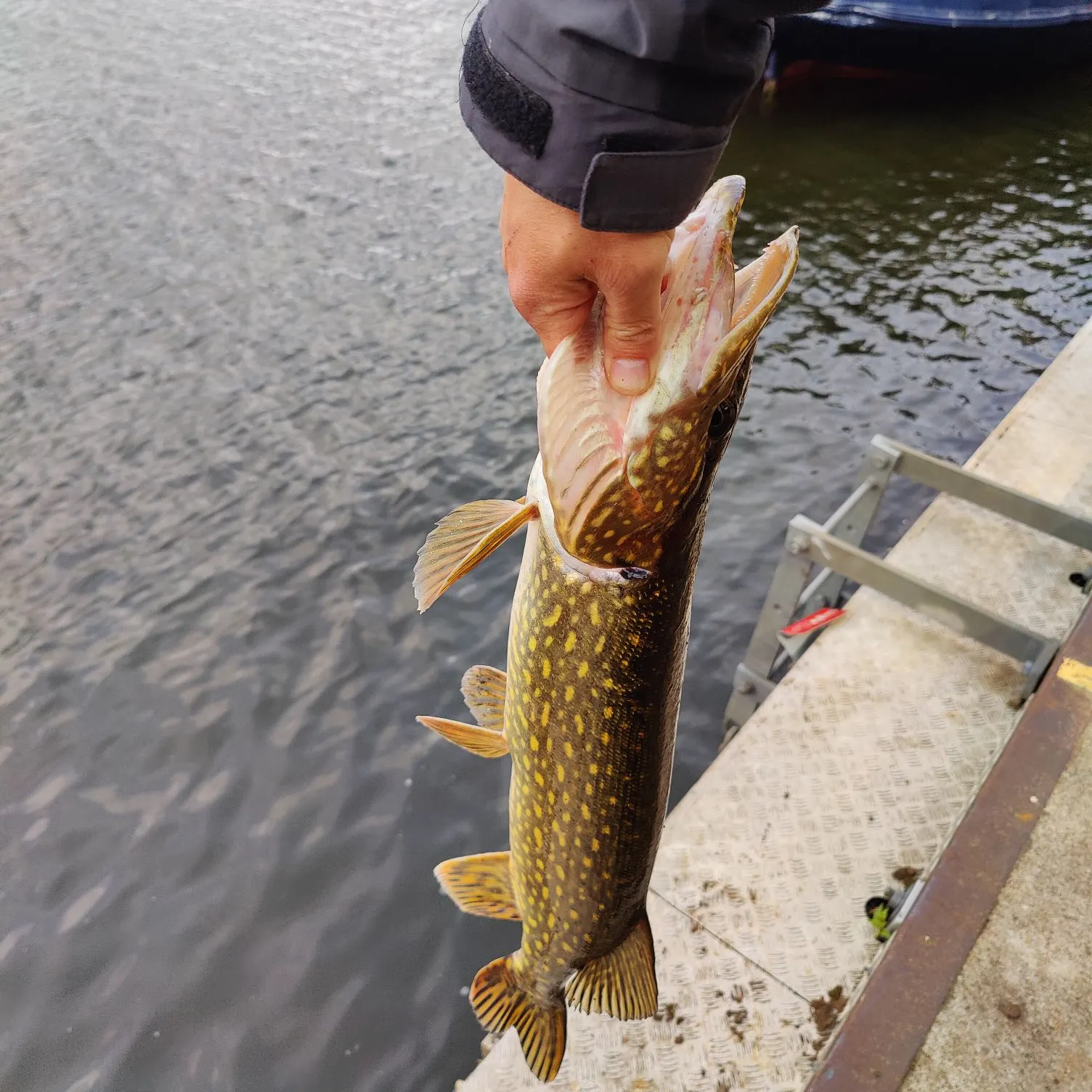 catch