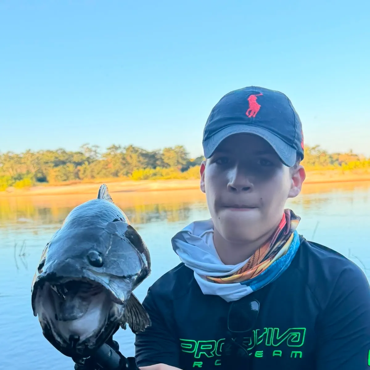 The most recent Giant trahira catches on Fishbrain