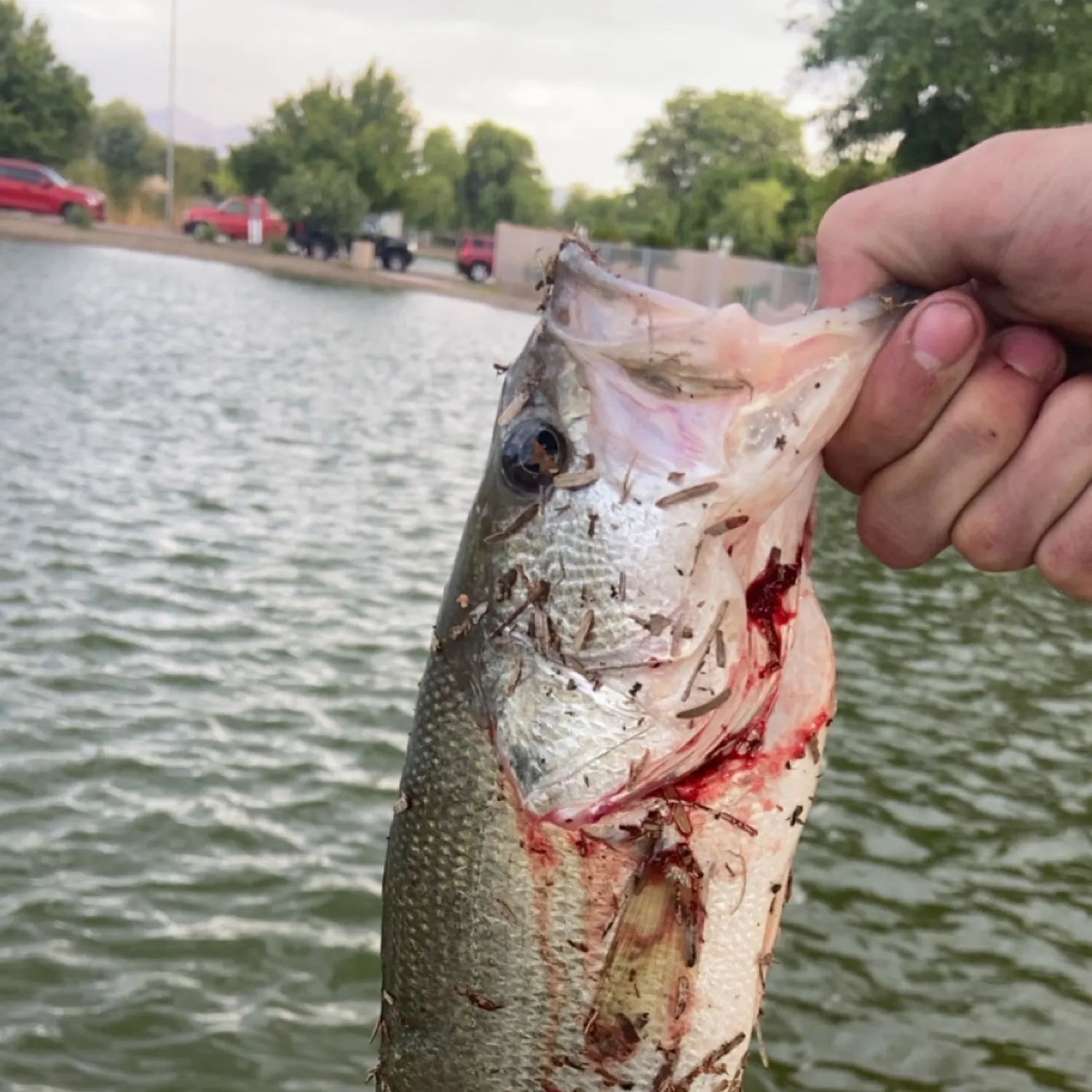 catch