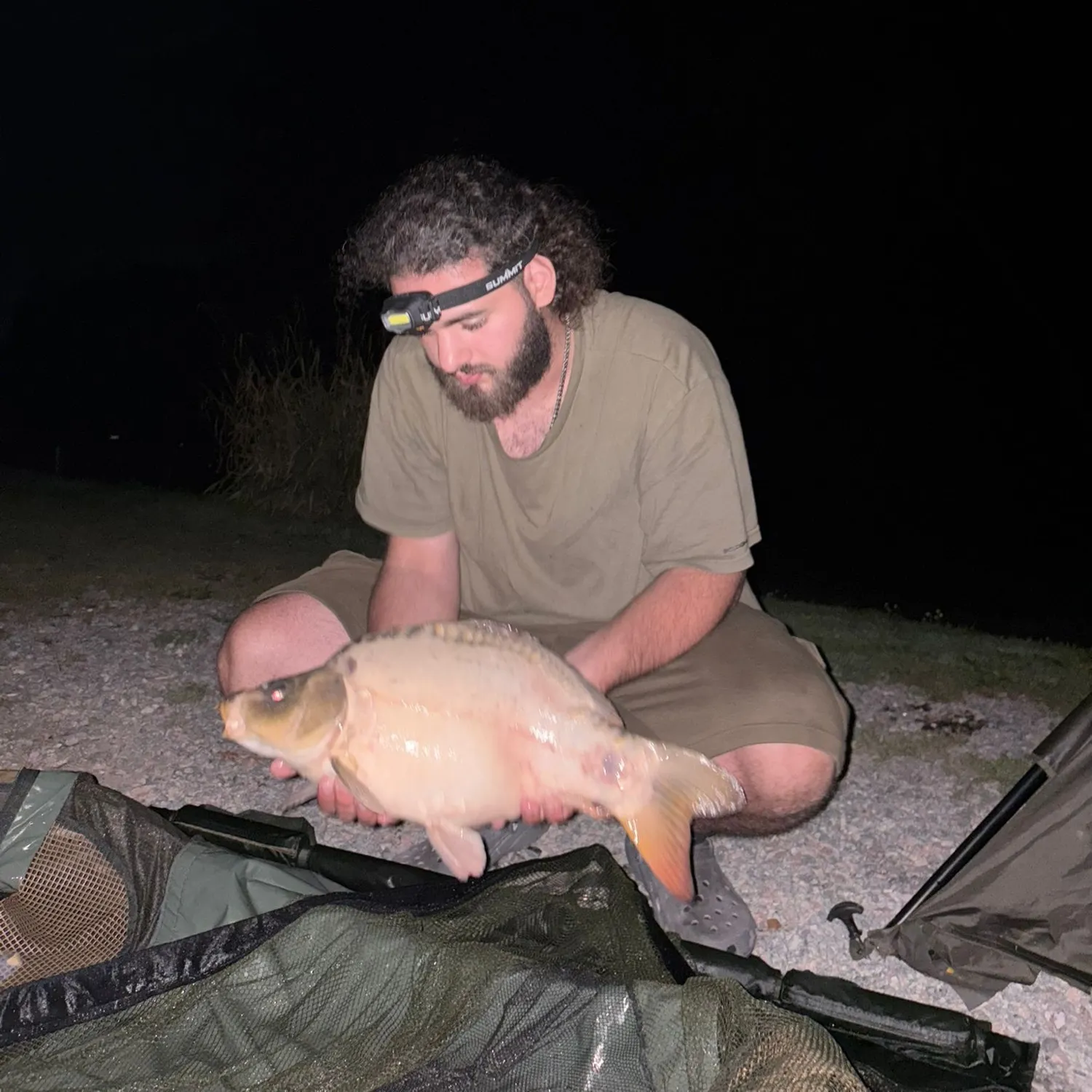 The most recent F1 carp catches on Fishbrain