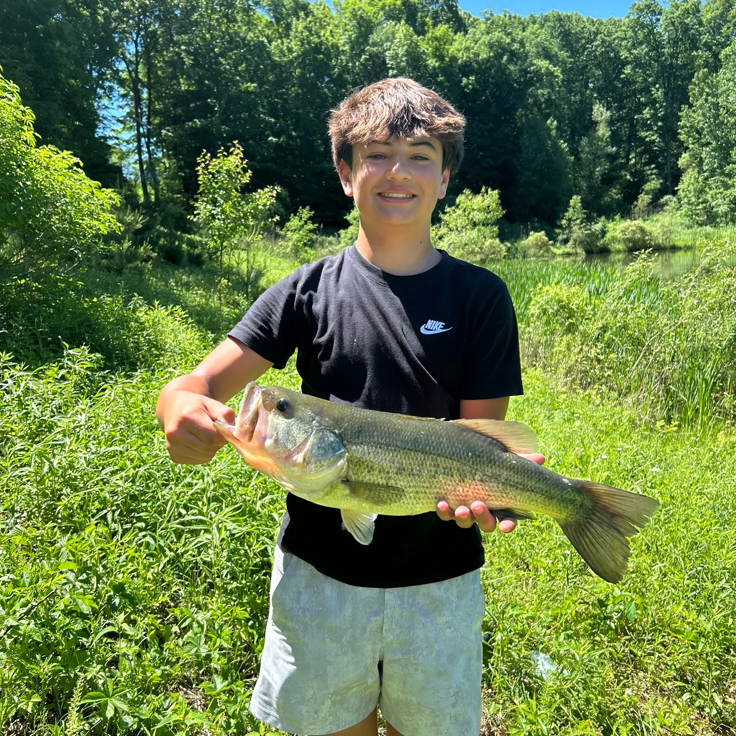 Largemouth bass caught on Fishbrain
