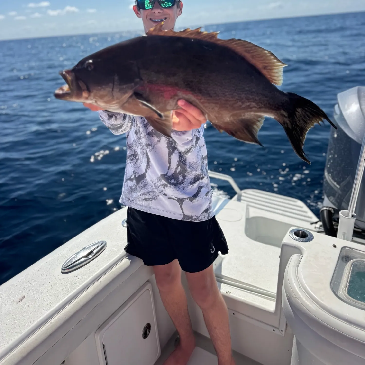 The most recent Scamp grouper catches on Fishbrain