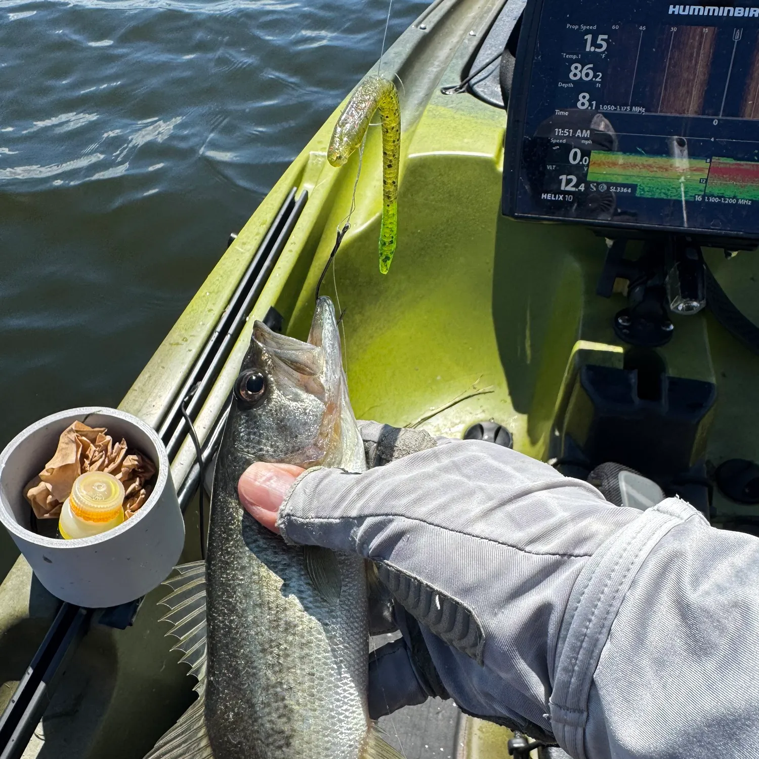 Largemouth bass caught on Fishbrain