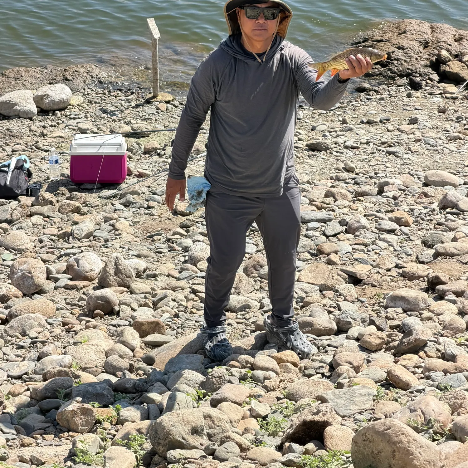 Common carp caught on Fishbrain