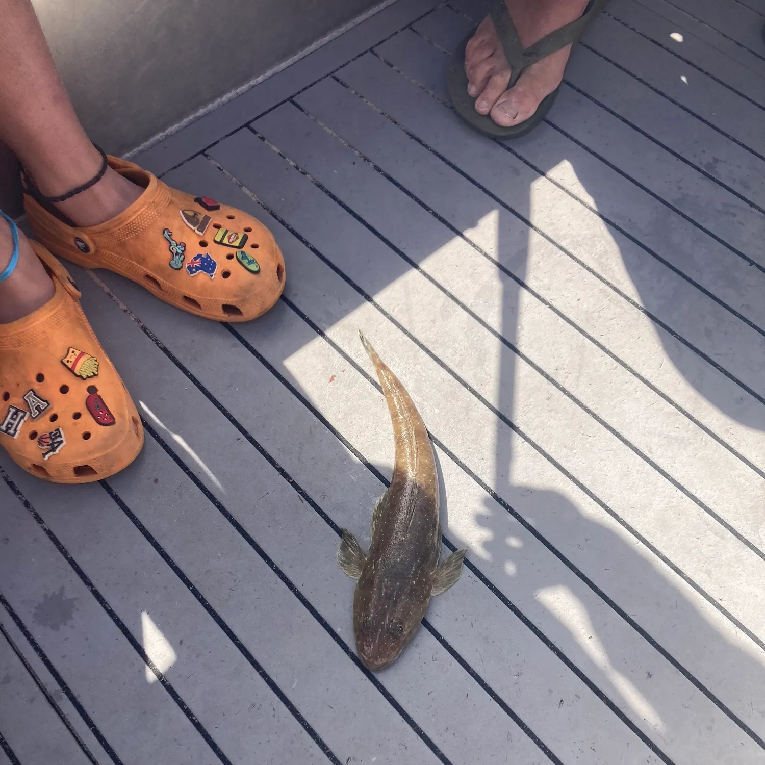 Sand flathead caught on Fishbrain