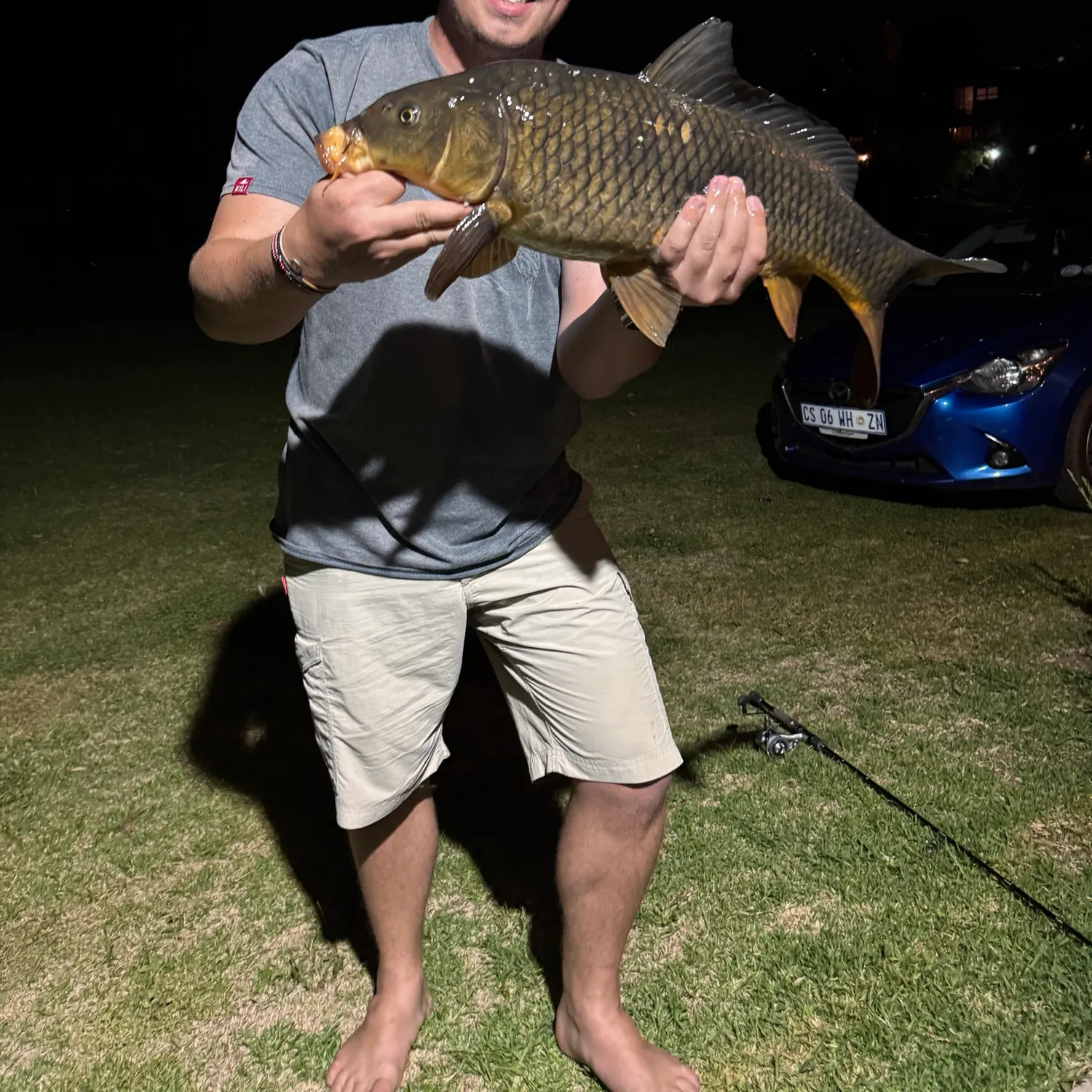 Common carp caught on Fishbrain