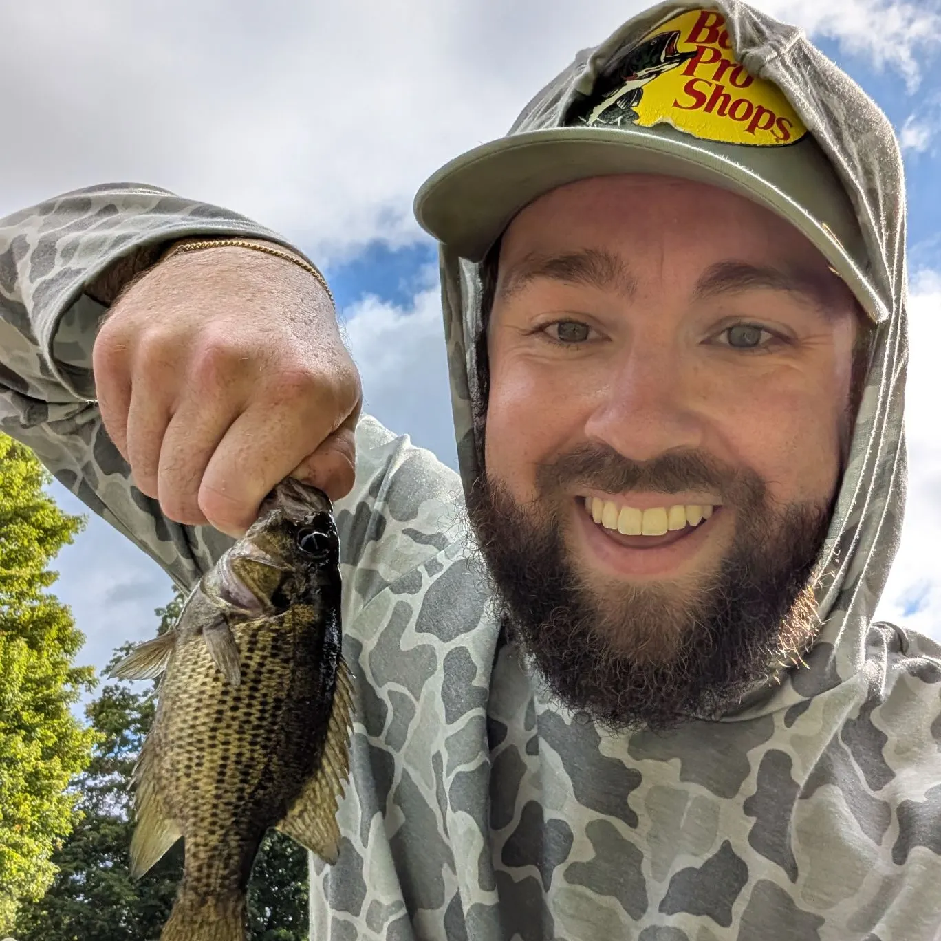 Rock bass caught on Fishbrain