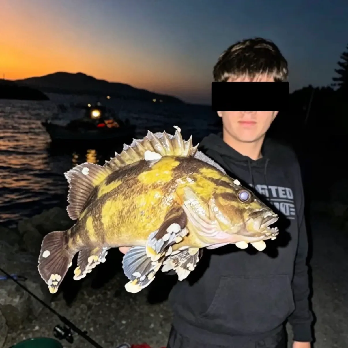 The most recent Eastern wirrah catches on Fishbrain