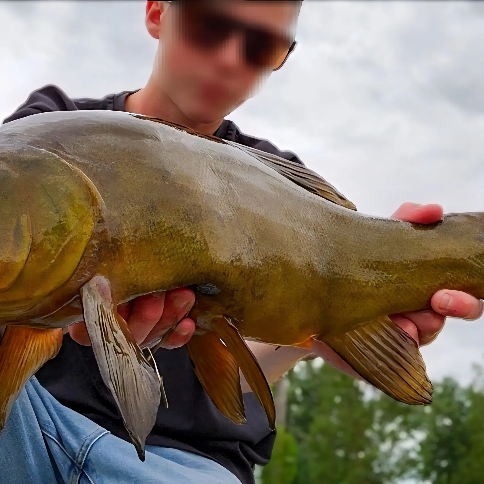 Tench caught on Fishbrain