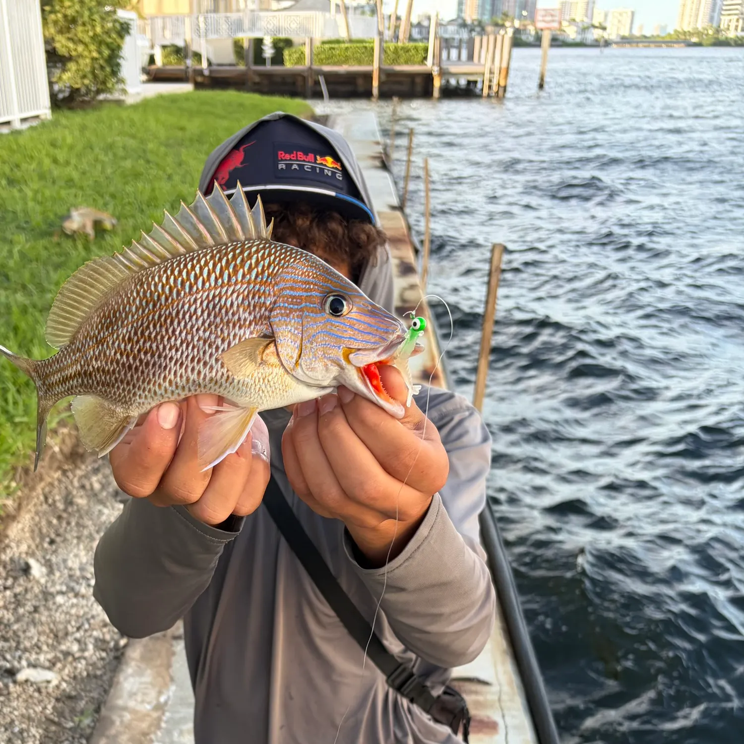 White grunt caught on Fishbrain