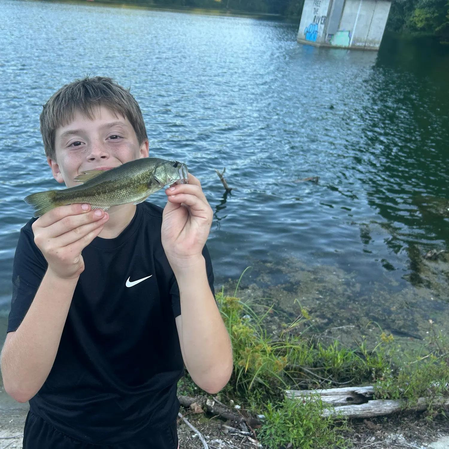 Largemouth bass caught on Fishbrain