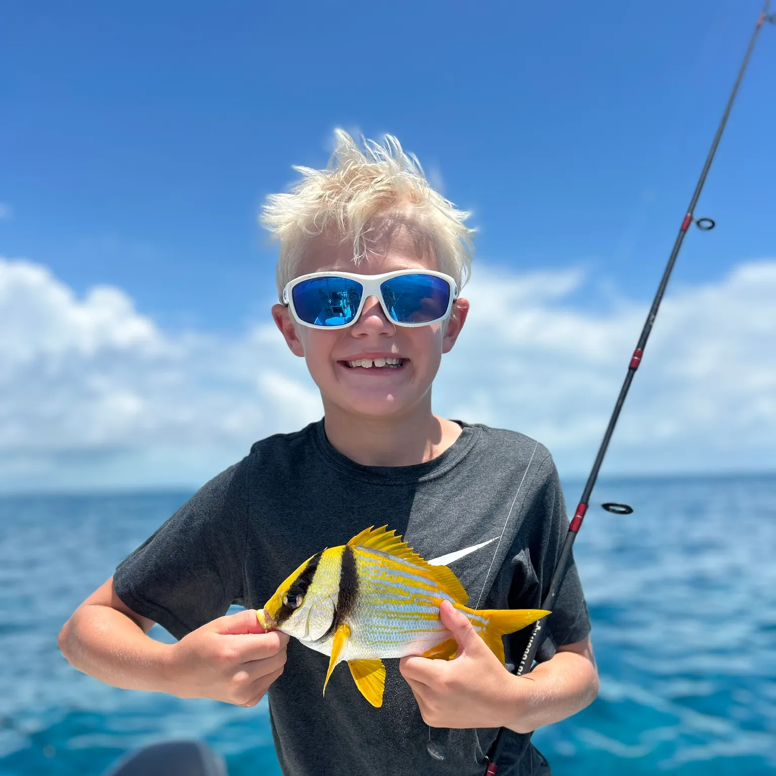 The most recent Atlantic porkfish catches on Fishbrain