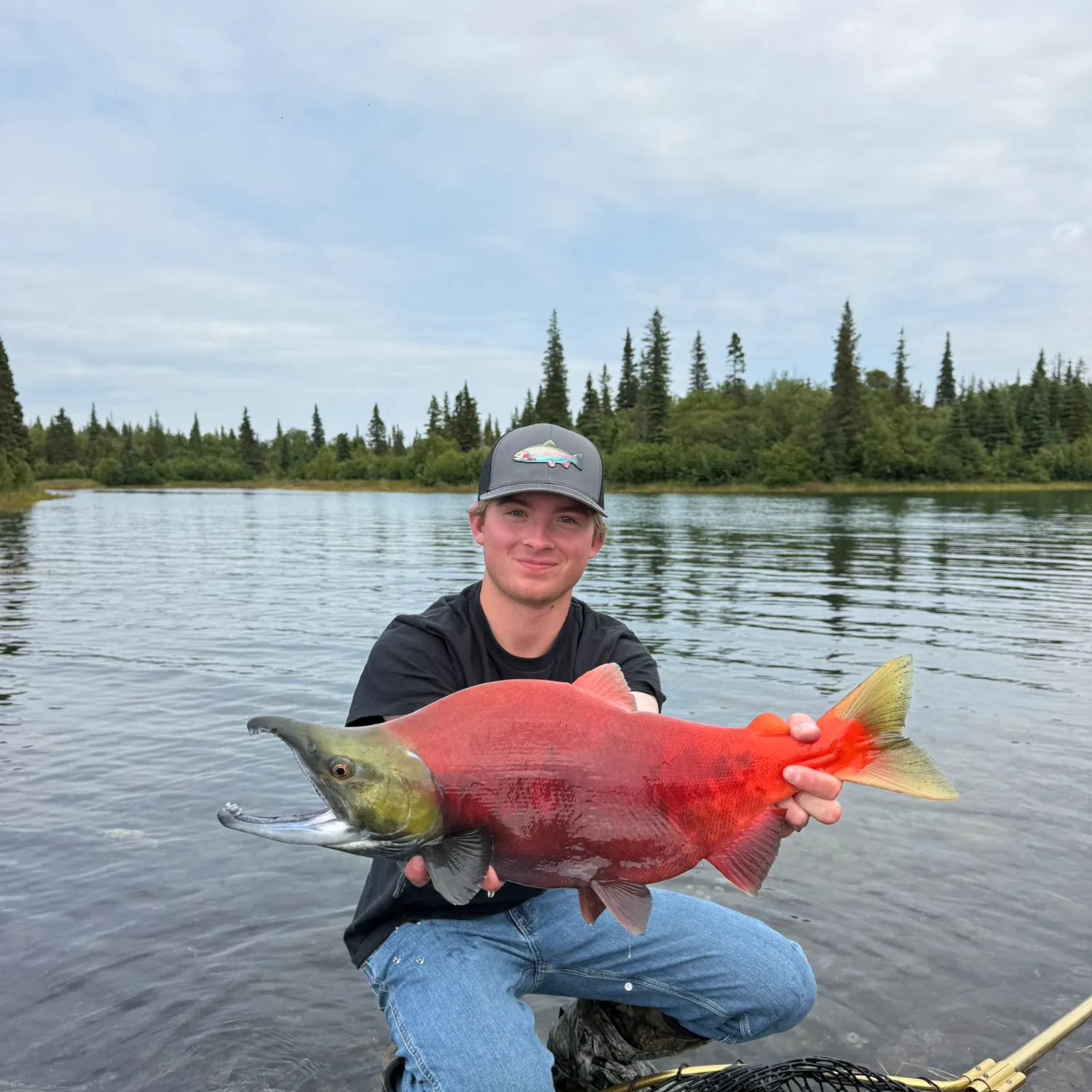 The most recent Sockeye salmon catches on Fishbrain
