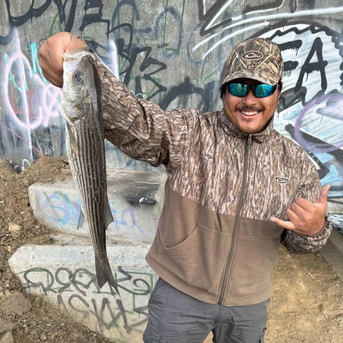 The most recent Striped bass catches on Fishbrain
