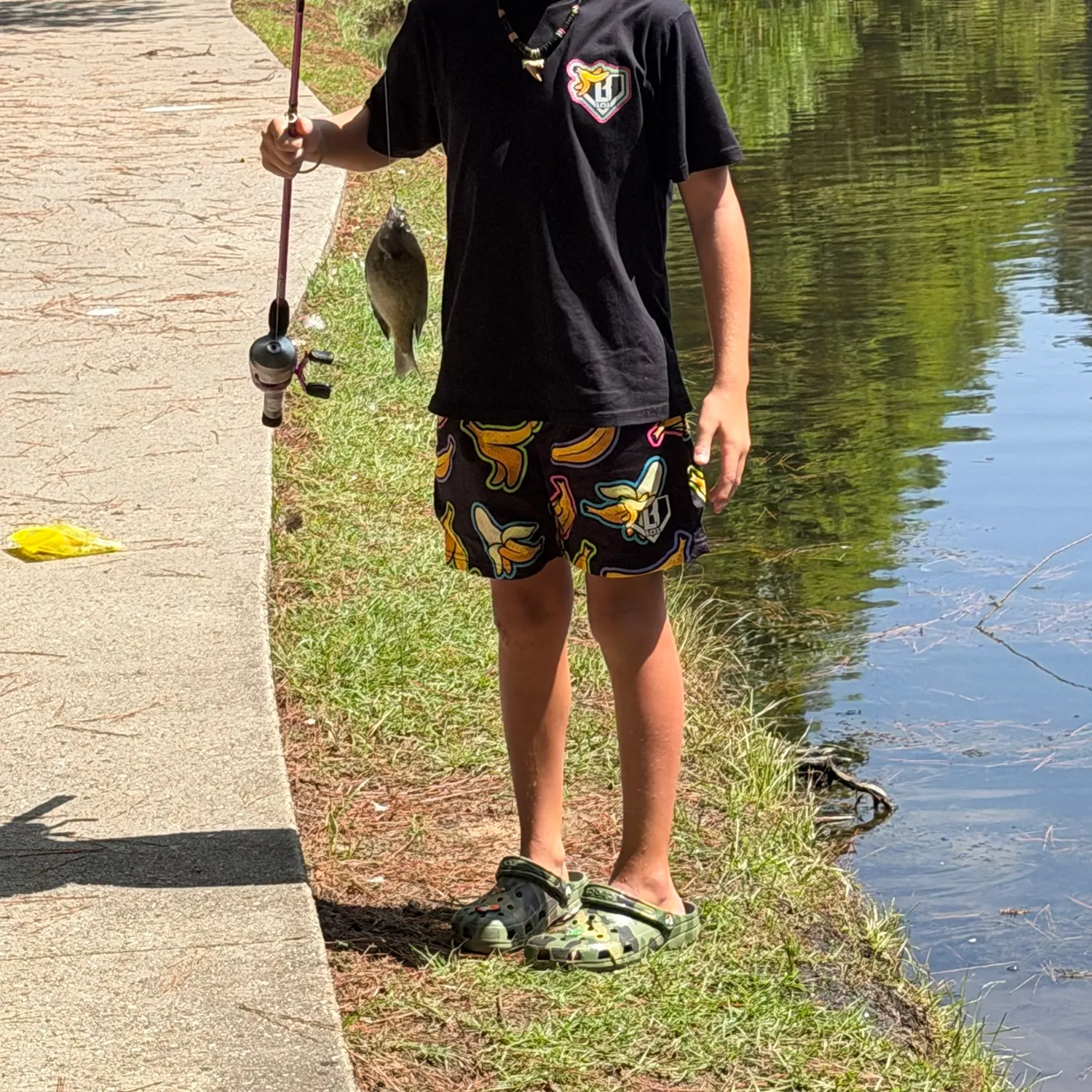 The most recent Brassy chub catches on Fishbrain