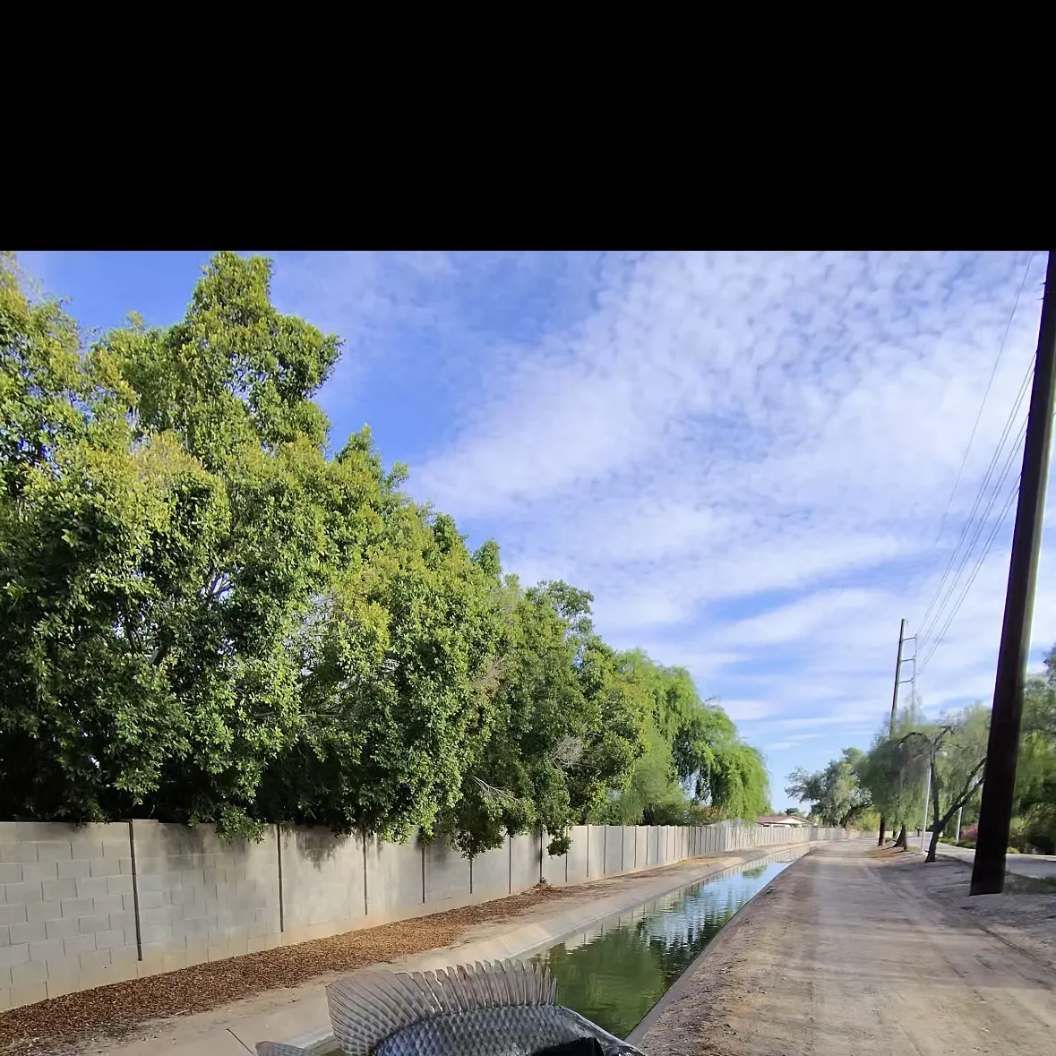The most recent Nile tilapia catches on Fishbrain