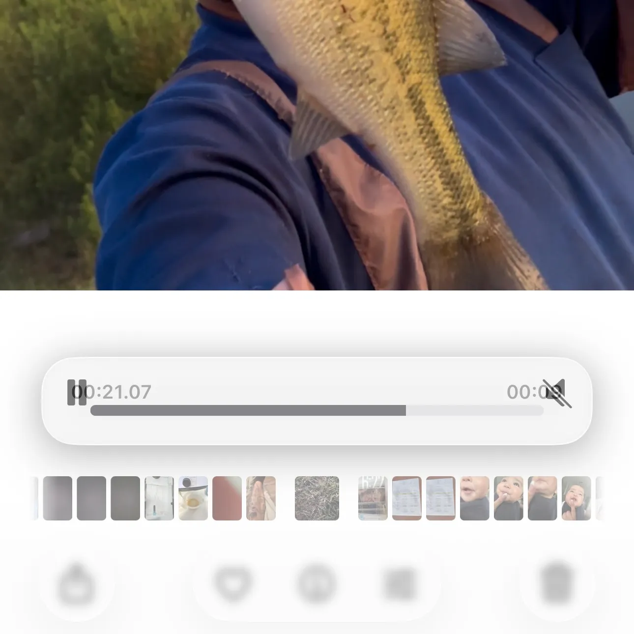 recently logged catches